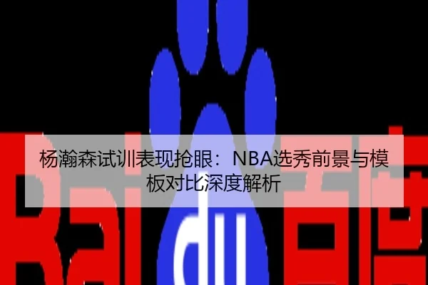 杨瀚森试训表现抢眼：NBA选秀前景与模板对比深度解析